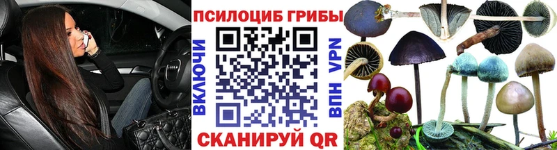 blacksprut зеркало  Бутурлиновка  Псилоцибиновые грибы Psilocybe 